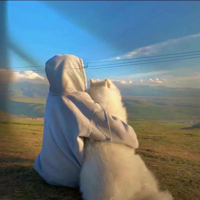 Alex98371230689's profile picture. 