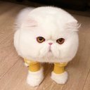 Scott Grayson - @ScottGrays88015 - Twitter