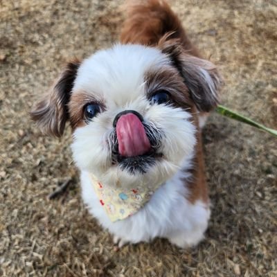 올리운さんのプロフィール画像