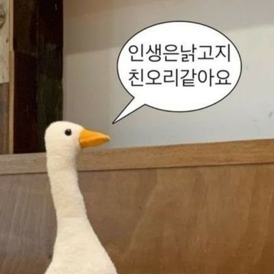 빙수さんのプロフィール画像