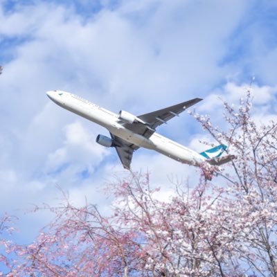 Class of 2024 海外大学卒(正規留学) ✈︎🇺🇸ˎˊ˗ |高度救命救急センター 救急救命士|→客室乗務員志望🇯🇵