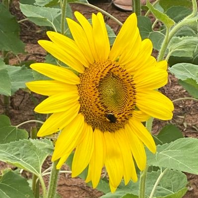 icu58's profile picture. I like simple life. Be happy with what you have. NO bots. I will just block you!!!!!