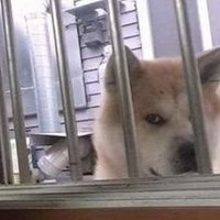 누군가의 운전 어쩌고저쩌고 (@kan03909800) 's Twitter Profile Photo 누군가의 운전 어쩌고저쩌고 (@kan03909800) 's Twitter Profile Photo