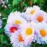 احب الحنان ورومنسيه (@abw42176) Twitter profile photo