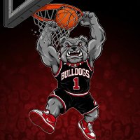 Le Mars Basketball (@lemarsboysbb) 's Twitter Profile