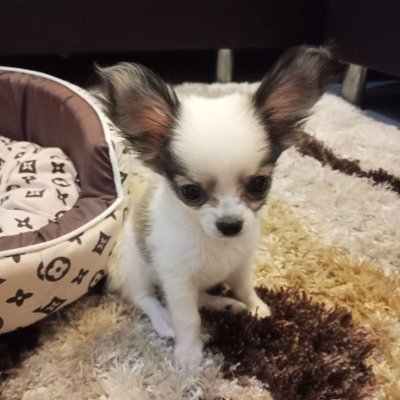 sunnym6318's profile picture. 