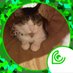 GREねこ (@noneco_45) Twitter profile photo GREねこ (@noneco_45) Twitter profile photo