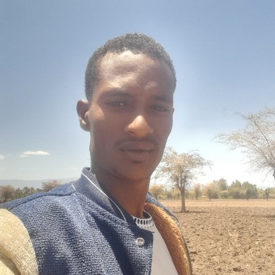 AleMamed78703's profile picture. 