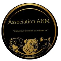 Association ANM (@associationanm) 's Twitter Profile