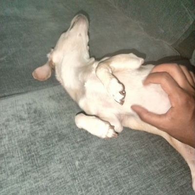 tonym1900's profile picture. 