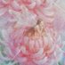 Lamya (@moncherii0) Twitter profile photo Lamya (@moncherii0) Twitter profile photo