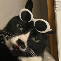 ⧓ 무보정보로 ⧓ (@moo_boro) 's Twitter Profile