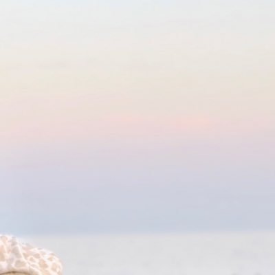 tsuki__102's profile picture. 38歳3兄妹の母🐥🐥🐥 自営業からの、サラリーマンへ転職開始！