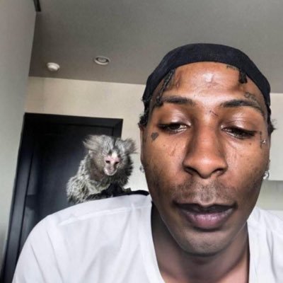 Hi im Kanay ! I LOVE to make music. I can do everything 🧪 #GOSLOW by ilovekanay OUT NOW