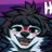 🦴🐾Collin The Husky🐾🦴さんのプロフィール画像