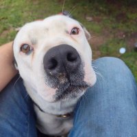 Creston (@crestons2560) 's Twitter Profile