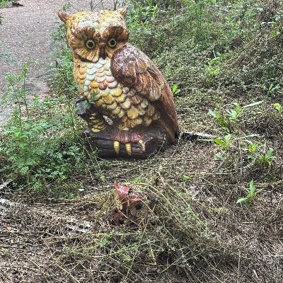 Gerardo85235608's profile picture. Austin Tx