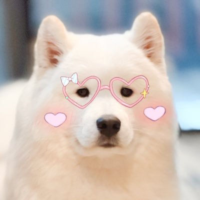 Candy_🌙✨さんのプロフィール画像