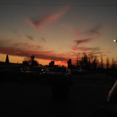 ramascoorochi's profile picture. 🦇