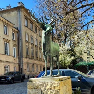 PaweWoznic50468's profile picture. Domine, defende me ab insipientia aliorum! Myśliwy