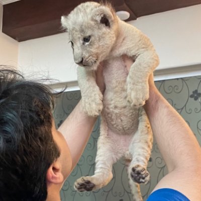 outb0und's profile picture. student of the cold email & coding game