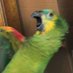 LUCHI (@peornombre) Twitter profile photo LUCHI (@peornombre) Twitter profile photo