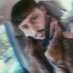 dark knight (@trujillo61657) Twitter profile photo dark knight (@trujillo61657) Twitter profile photo