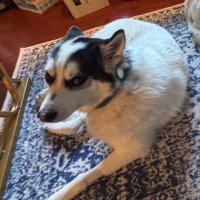 Kt Nylz (@kt_nylz) 's Twitter Profile