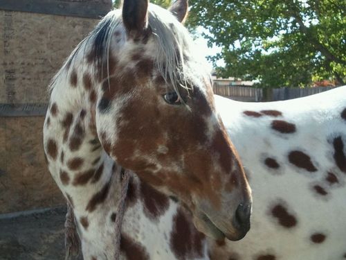 Dlang89's profile picture. 