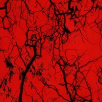 浮光跃金 (@pyqjjiht5096429) Twitter profile photo