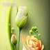Shahina (@shahina2471811) Twitter profile photo Shahina (@shahina2471811) Twitter profile photo