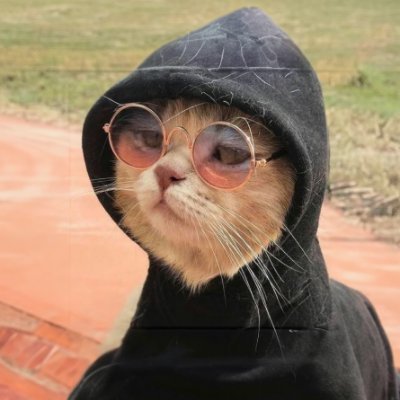 memphismillano's profile picture. i'm the guy