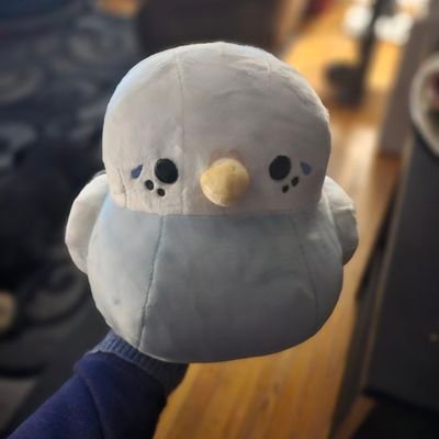 Ageplay 🫧 Certified Pacifier Lover 🧃 31 🎈 Pansexual 🌈 Adults only 🔞 DDLG, MDLG, CGL, ABDL 🧷🇨🇦🏔