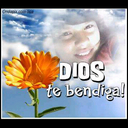 Aida Vélez López - @aidavelezl - Twitter