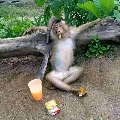 recordscr4tcher's profile picture. knuck if u buck