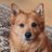 sheffphotoctre's profile image