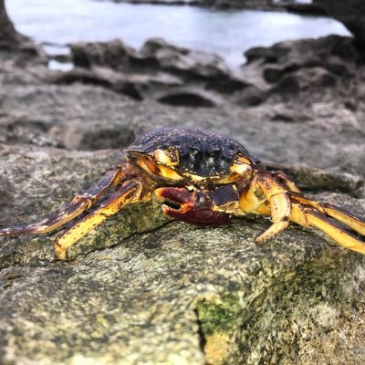 DT_kong's profile picture. たくあんも好き　18↑
ムラコ@pad_sexy