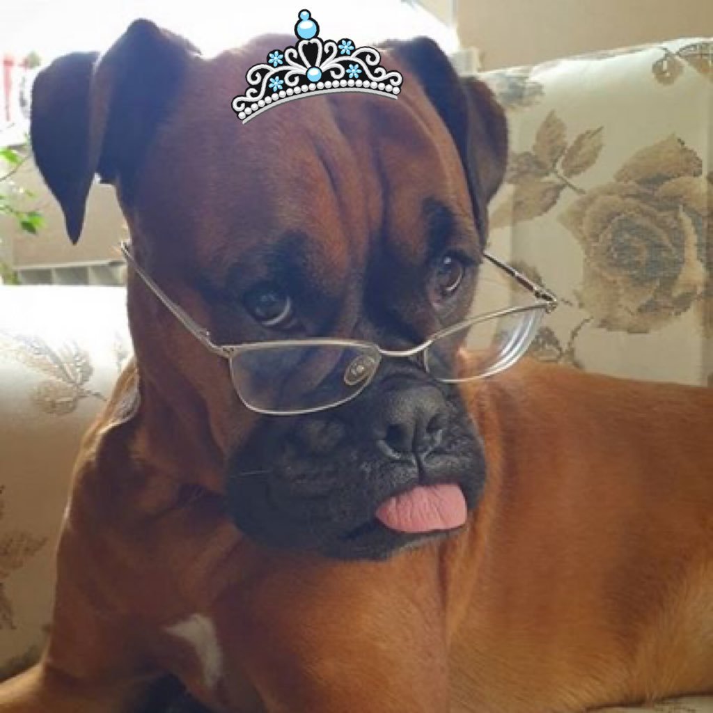 arteeuu's profile picture. |||