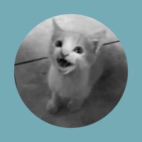 Chano (¥) (@chano_4392) 's Twitter Profile