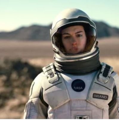 where_is_balqes's profile picture. Gülhane parkındaki zeytin ağacı