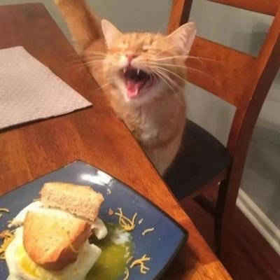 leemy422883's profile picture. 