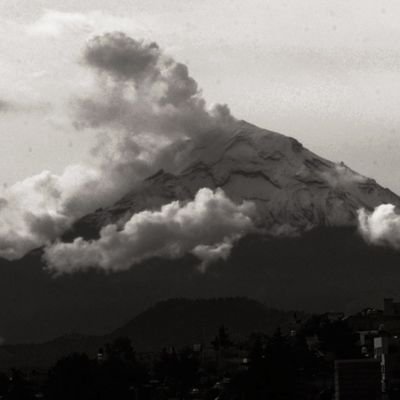 bocbuoc's profile picture. saudades... gente
wist'u gente