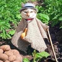 Vietnam Mailman (@vertigomailman) 's Twitter Profile Photo Vietnam Mailman (@vertigomailman) 's Twitter Profile Photo