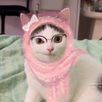 catnur (@alanurulayn) 's Twitter Profile Photo