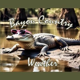 BayouCountryWX's profile picture. Bringing accurate and up to date weather info to all of the Bayou Country Louisiana🐊