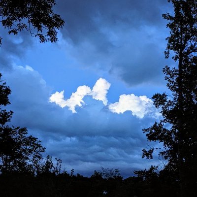 Trickslidy's profile picture. 