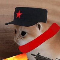 ✨🇵🇸🏳️‍⚧️VulpeculACAB|مثورة🦊✨ (@tepesthevulpes2) 's Twitter Profile Photo