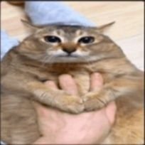 CurrentlyL02's profile picture. 