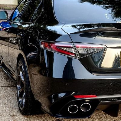 japancaruk's profile picture. EV