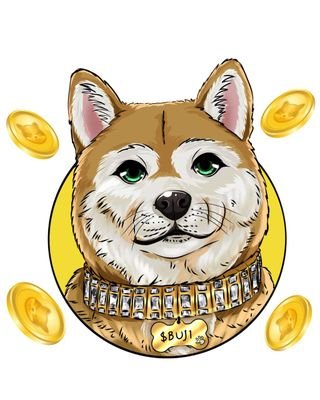 I am who I'm meant to be.
@buji the best memecoin ever